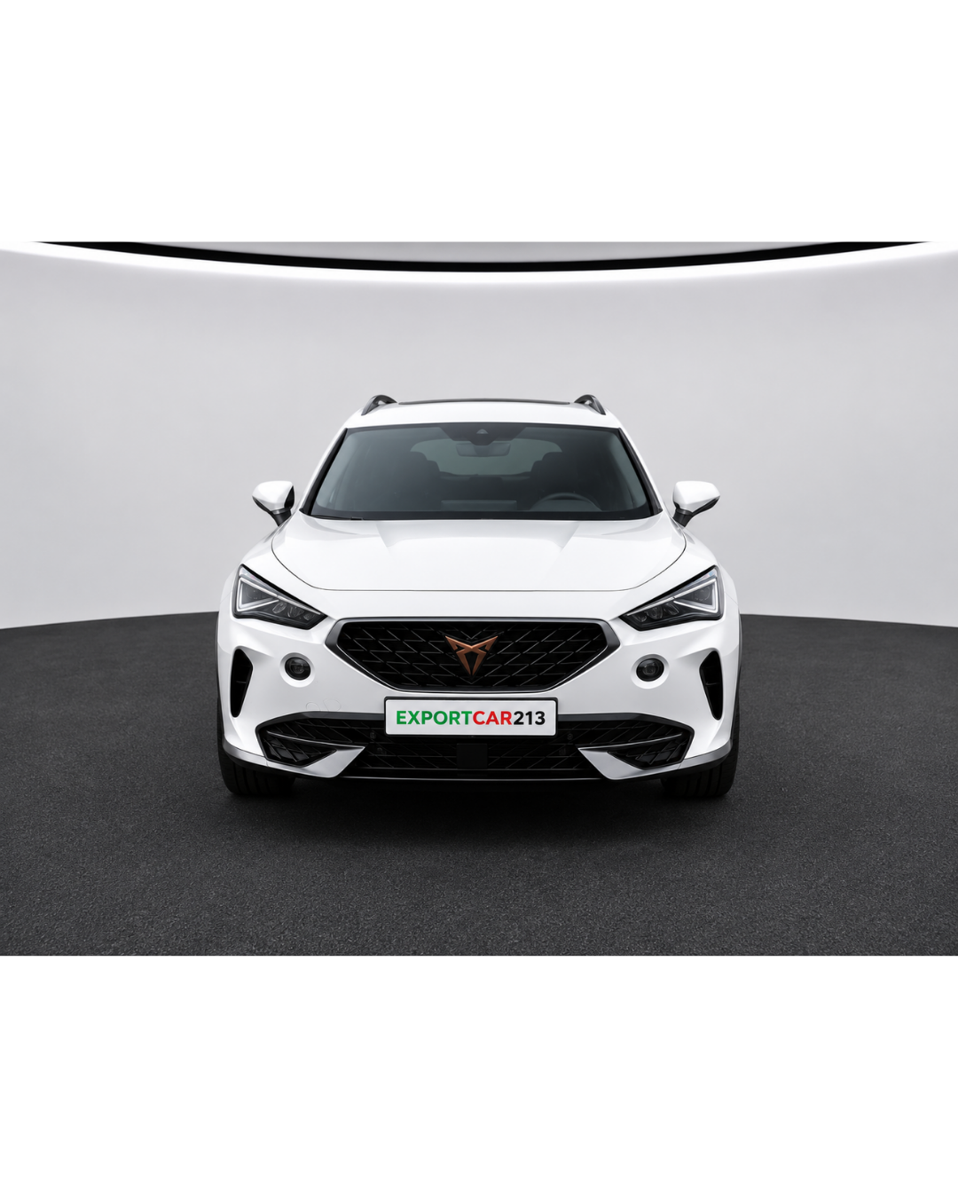 Showroom Export Car 213